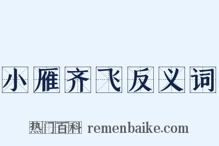 小雁齐飞反义词是什么意思的图片